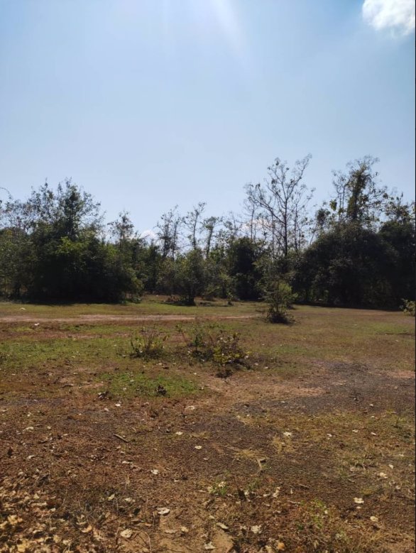 ขายที่ดิน-400-ตรว-ราคา-490000บาท-ผ่อนวัน200บาท-