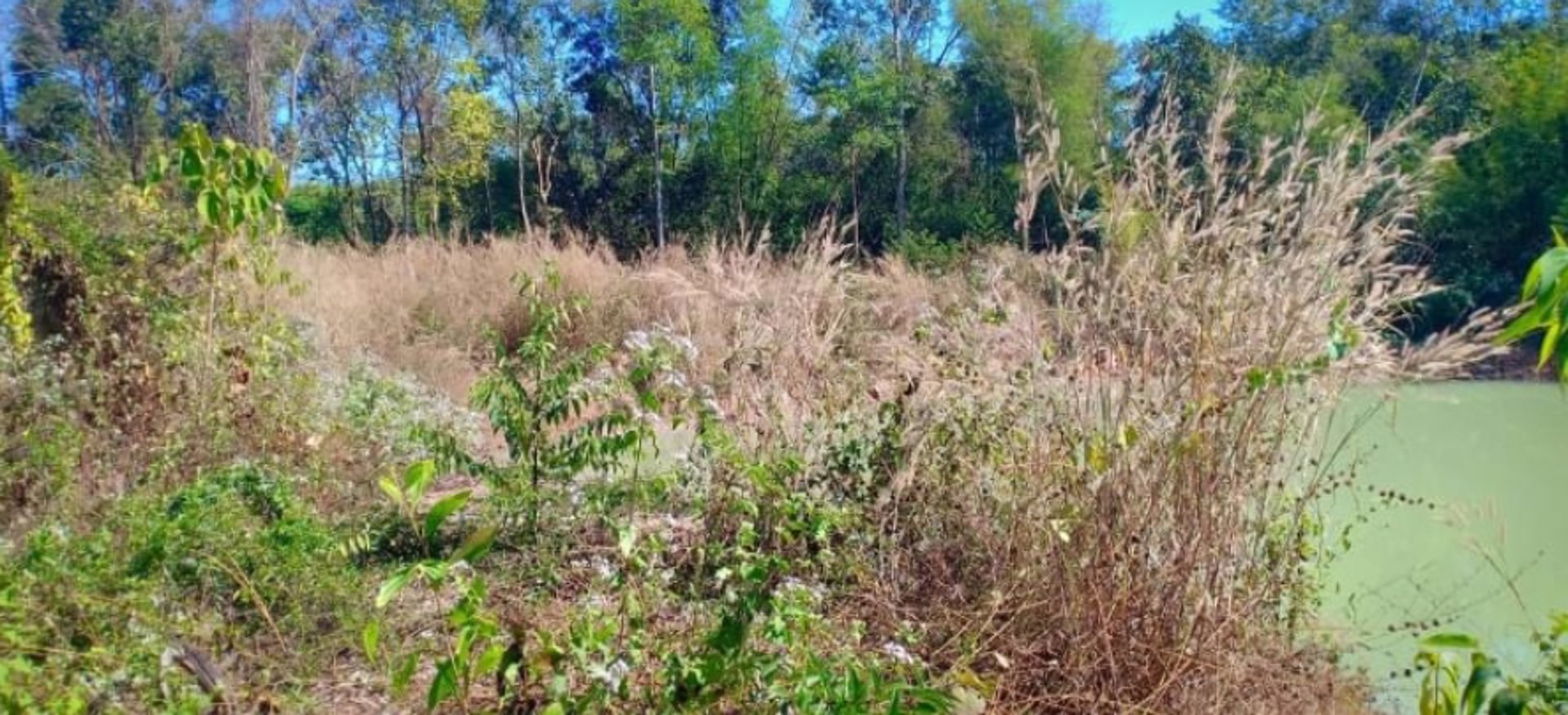 ขายที่ดิน-400-ตรว-ราคา-490000บาท-ผ่อนวัน200บาท-