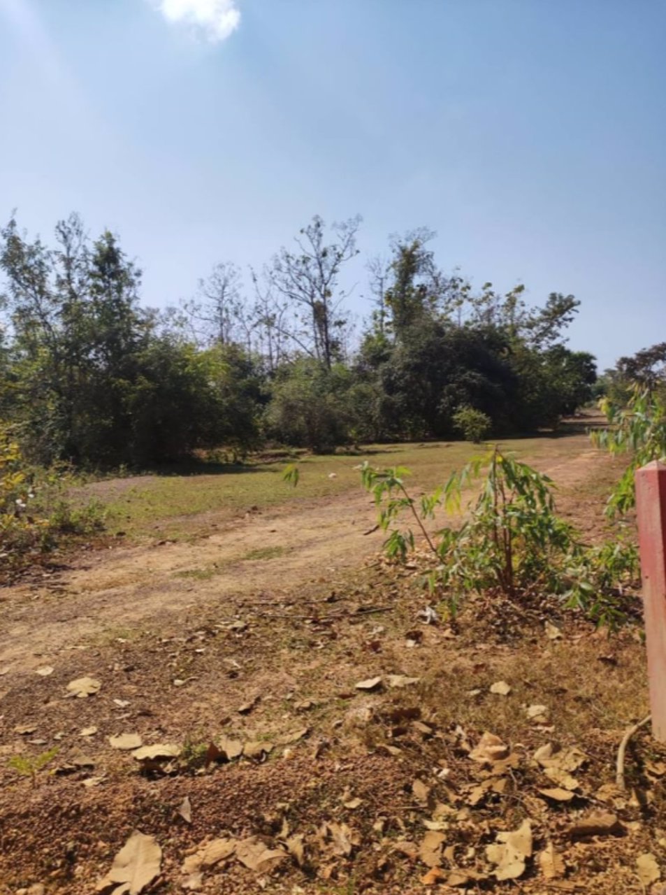 ขายที่ดิน-400-ตรว-ราคา-490000บาท-ผ่อนวัน200บาท-