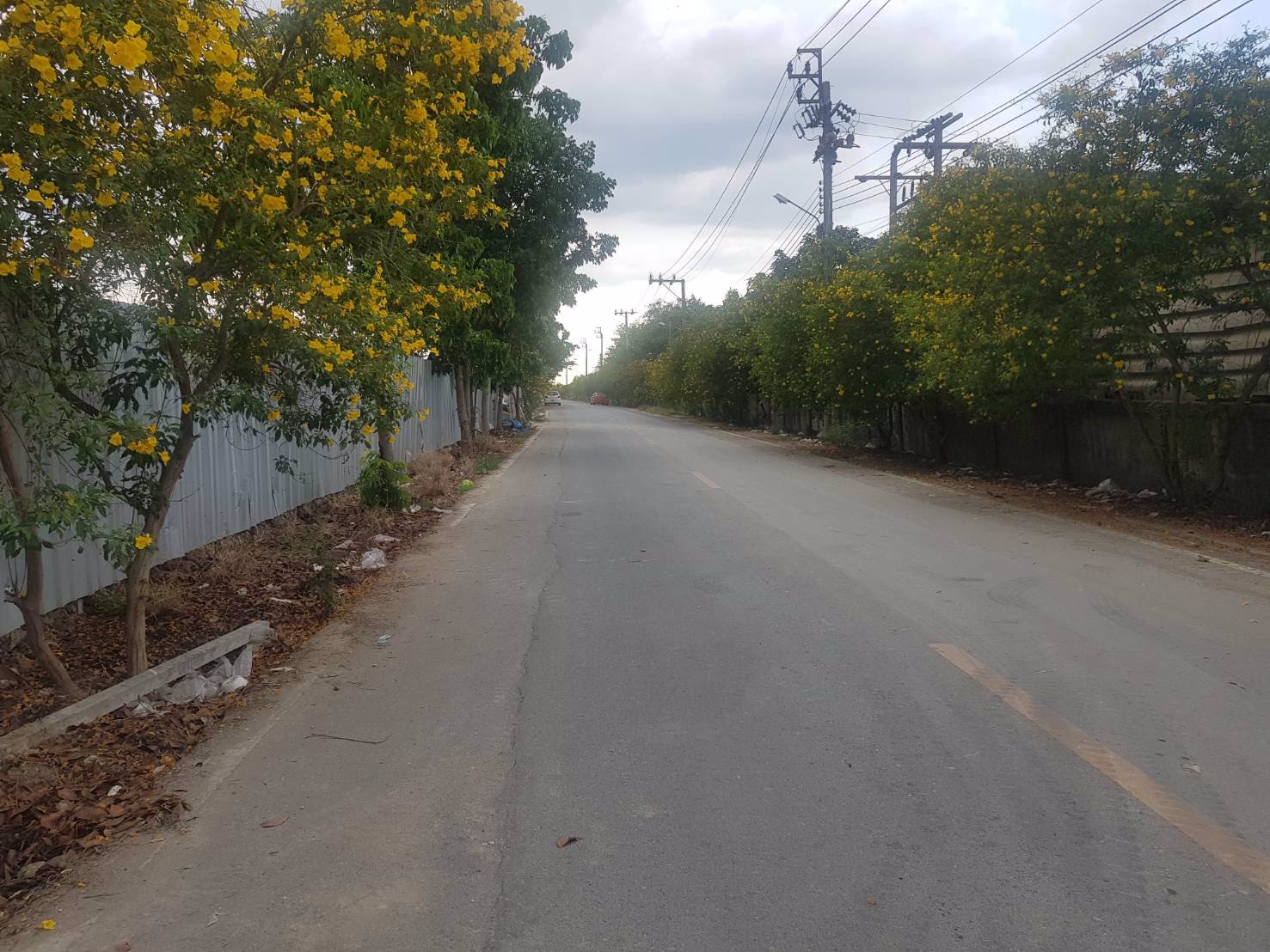 ที่ดินเปล่าแบ่งให้เช่า-ถมแล้ว-น้ำ-ไฟฟ้าพร้อม