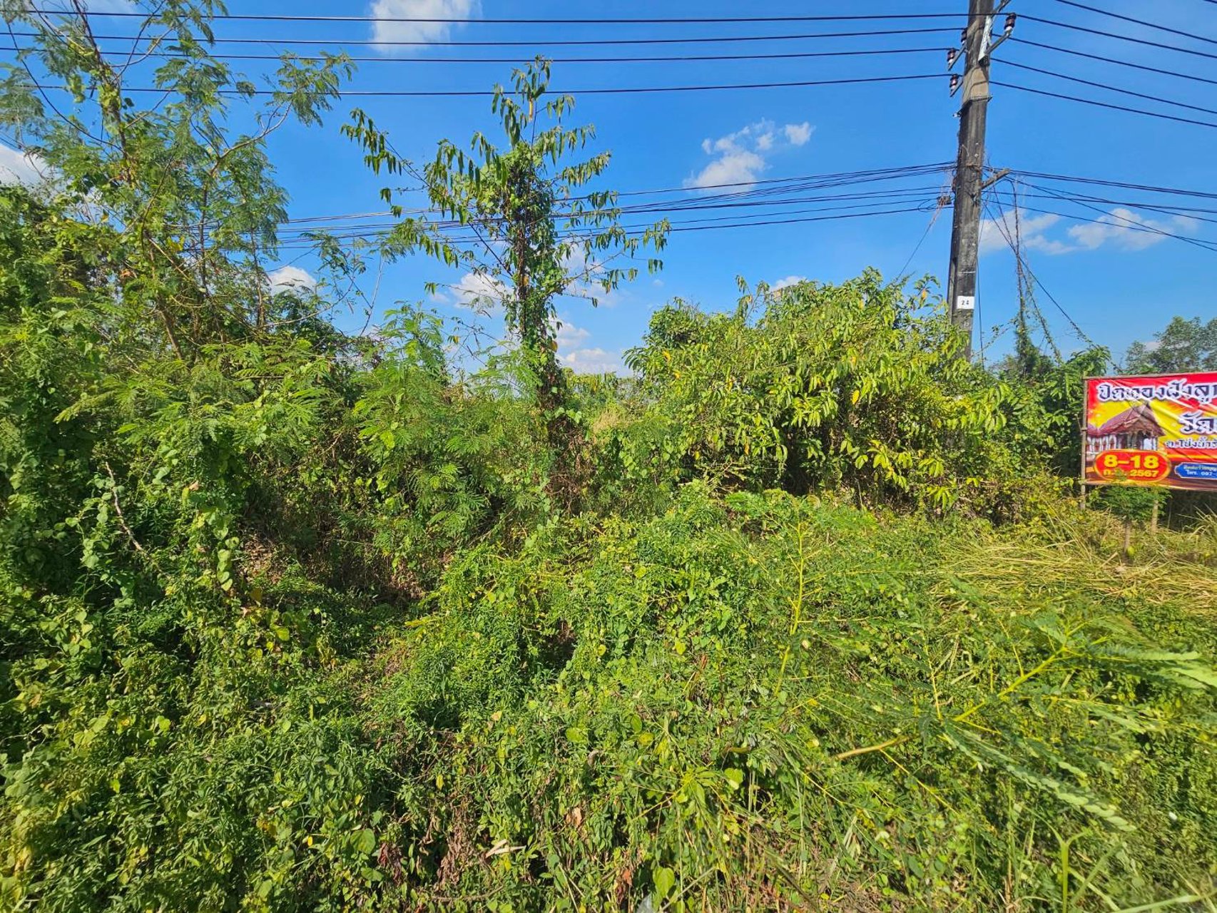 ขายที่เปล่าติดถนนสุขุมวิทจันทบุรี-หน้ามหาวิทยาลัยราชภัฏรําไพพรรณี