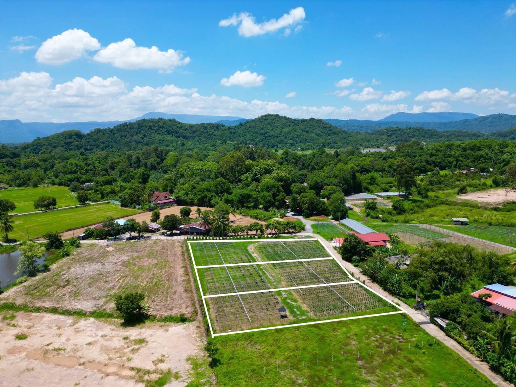 ขายที่ดิน-สาริกา-นครนายก-ราคา-3900-บาทต่อตารางวา