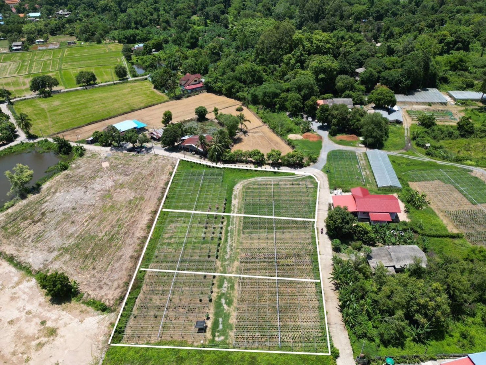 ขายที่ดิน-สาริกา-นครนายก-ราคา-3900-บาทต่อตารางวา