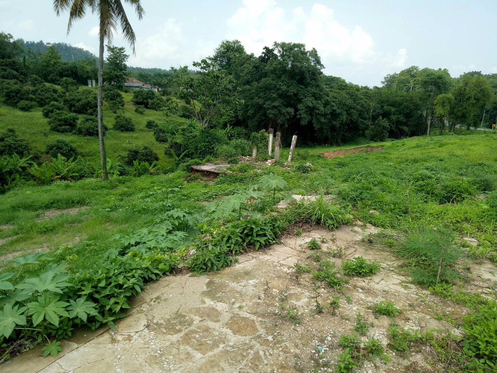 ขายที่ดิน-7-ไร่-อแม่แตง-จเชียงใหม่