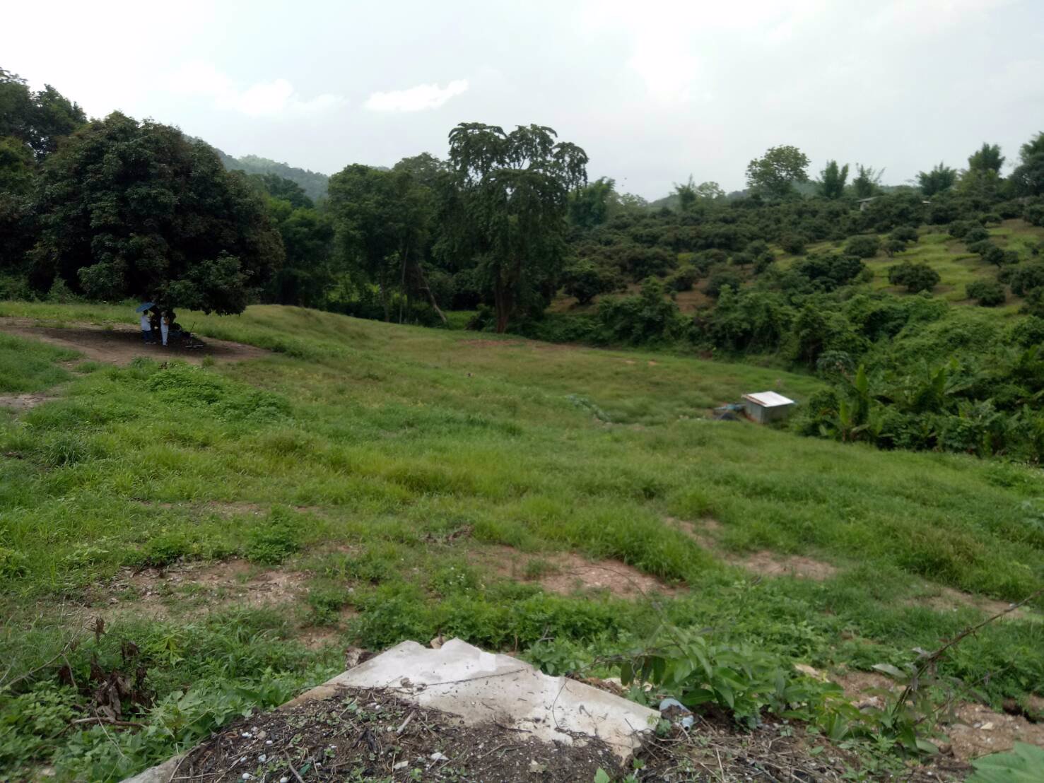 ขายที่ดิน-7-ไร่-อแม่แตง-จเชียงใหม่