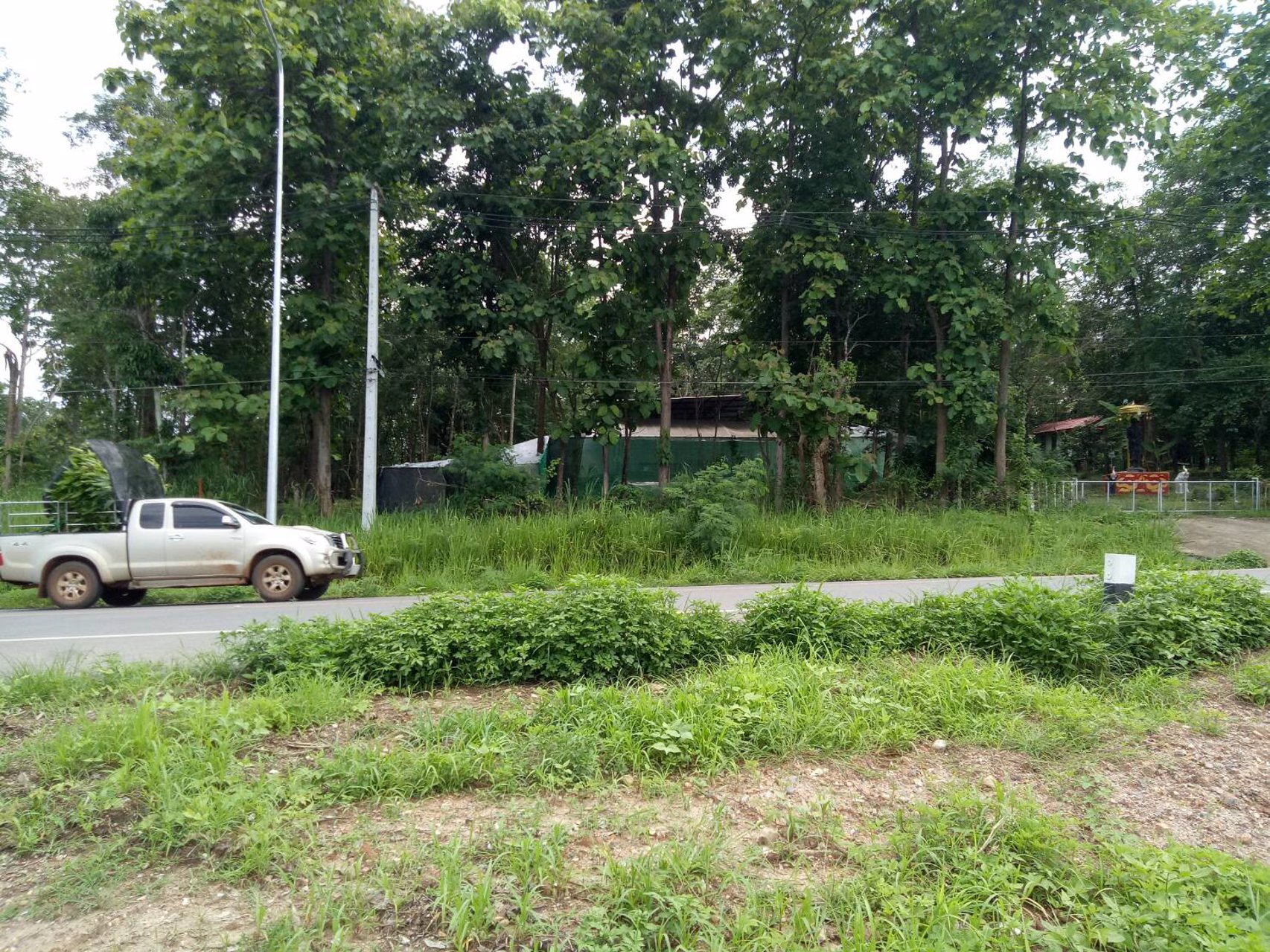 ขายที่ดิน-7-ไร่-อแม่แตง-จเชียงใหม่