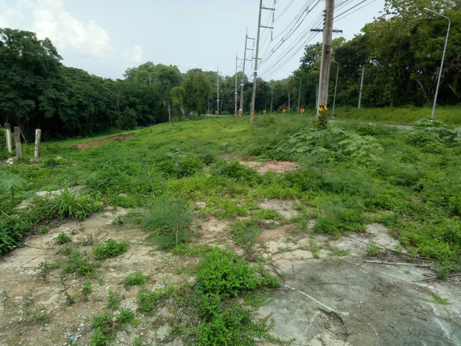 ขายที่ดิน-7-ไร่-อแม่แตง-จเชียงใหม่