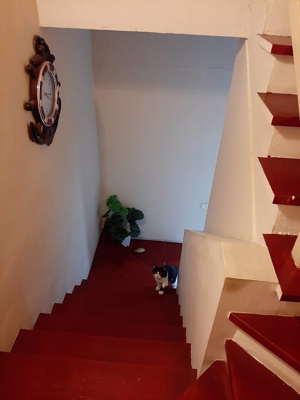 หมู่บ้านบุษรา-ทาวน์โฮม-23-ตารางวา-3-ชั้น-พร้อมเฟอร์นิเจอร์-แบกกระเป๋าเข้าอยู่ได้เลย