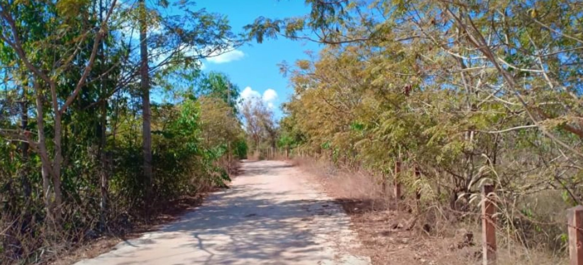 ขายที่ดินแบ่งแปลง-เนื้อที่-291ตรว-ราคา-420000บาท