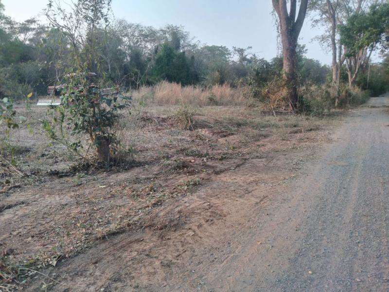 ขายที่ดินทำบ้าน-ถมแล้ว-เนื้อที่-200ตรว-มีไฟฟ้า