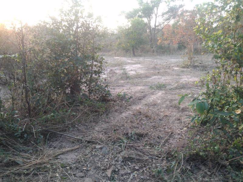 ขายที่ดินทำบ้าน-ถมแล้ว-เนื้อที่-200ตรว-มีไฟฟ้า