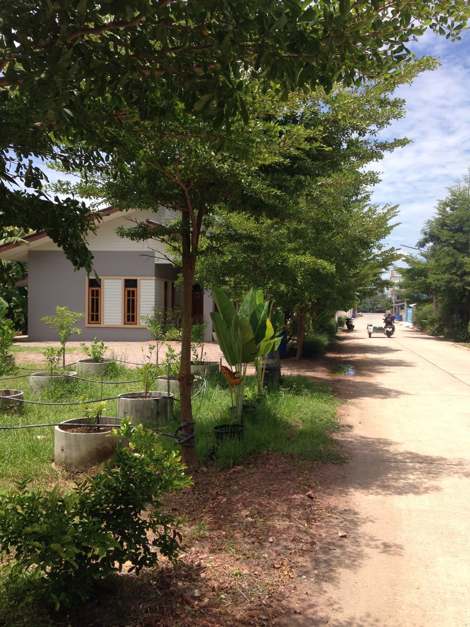 ขายที่ดินแปลงสวยราชบุรีครับ-ใกล้อบต-เขตเทศบาล-ตรงข้ามตลาดนัดวัดแจ้งเจริญ-อำเภอวัดเพลง-จังหวัดราชบุรี