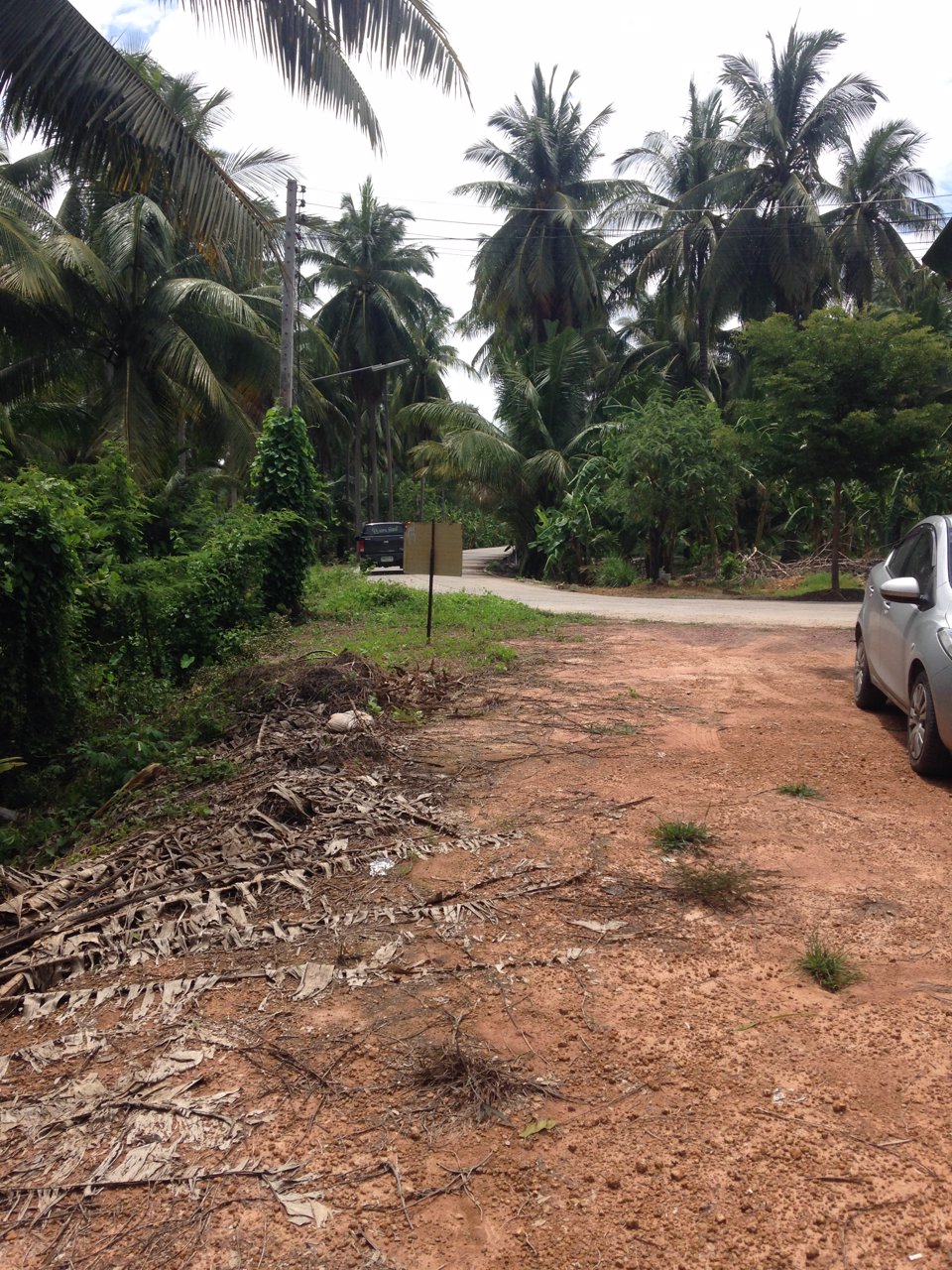 ขายที่ดินแปลงสวยราชบุรีครับ-ใกล้อบต-เขตเทศบาล-ตรงข้ามตลาดนัดวัดแจ้งเจริญ-อำเภอวัดเพลง-จังหวัดราชบุรี