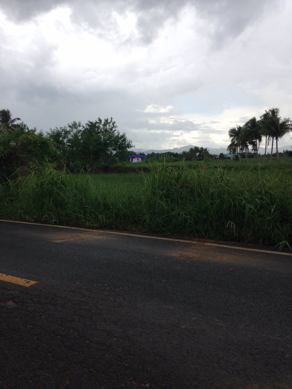 ขายที่ดินโฉนดติดถนนลาดยาง-300ตรว-สามร้อยยอด-จังหวัดประจวบ-1200000-บาท