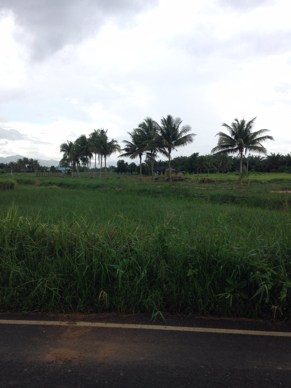 ขายที่ดินโฉนดติดถนนลาดยาง-300ตรว-สามร้อยยอด-จังหวัดประจวบ-1200000-บาท