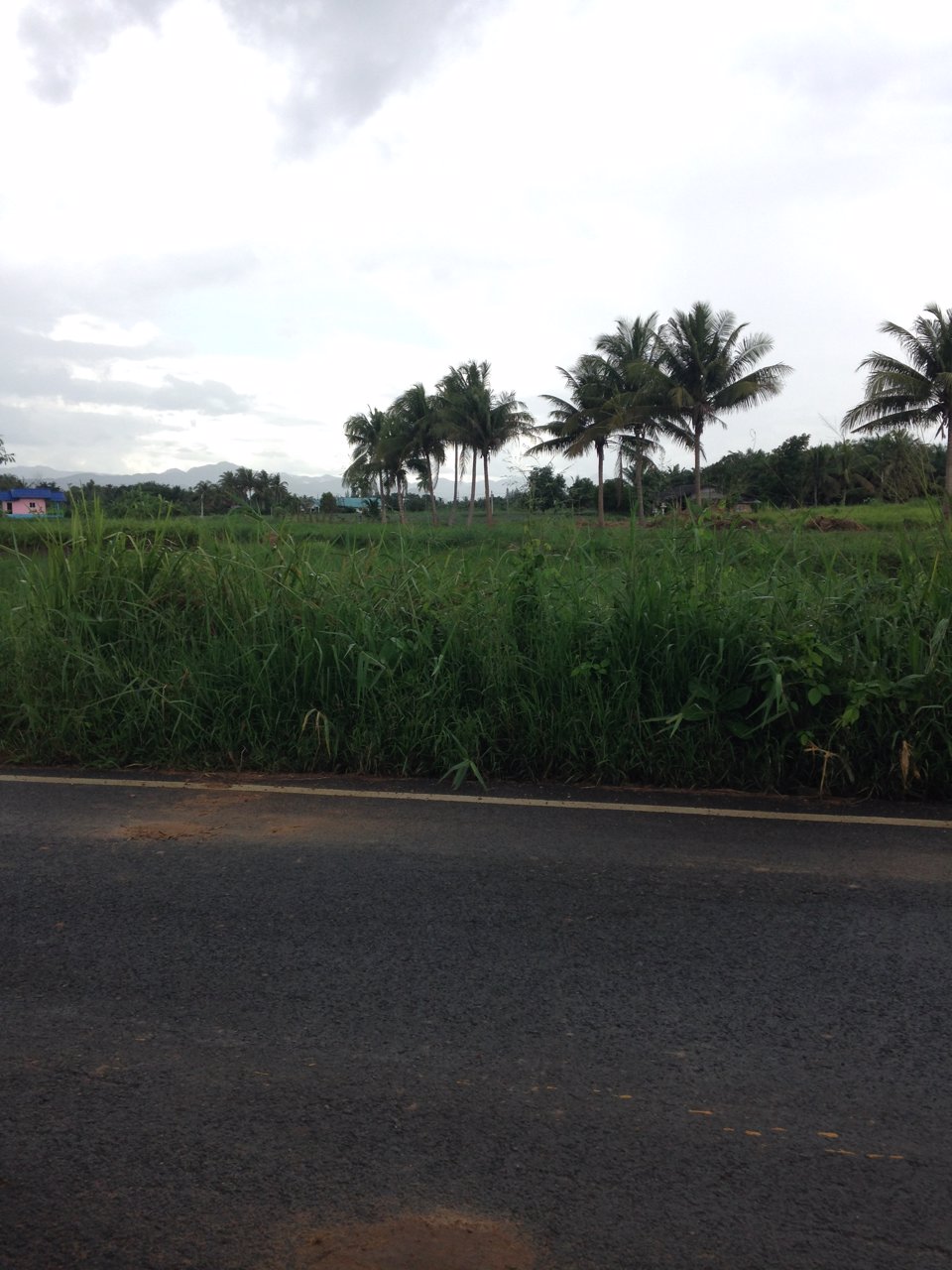 ขายที่ดินโฉนดติดถนนลาดยาง-300ตรว-สามร้อยยอด-จังหวัดประจวบ-1200000-บาท