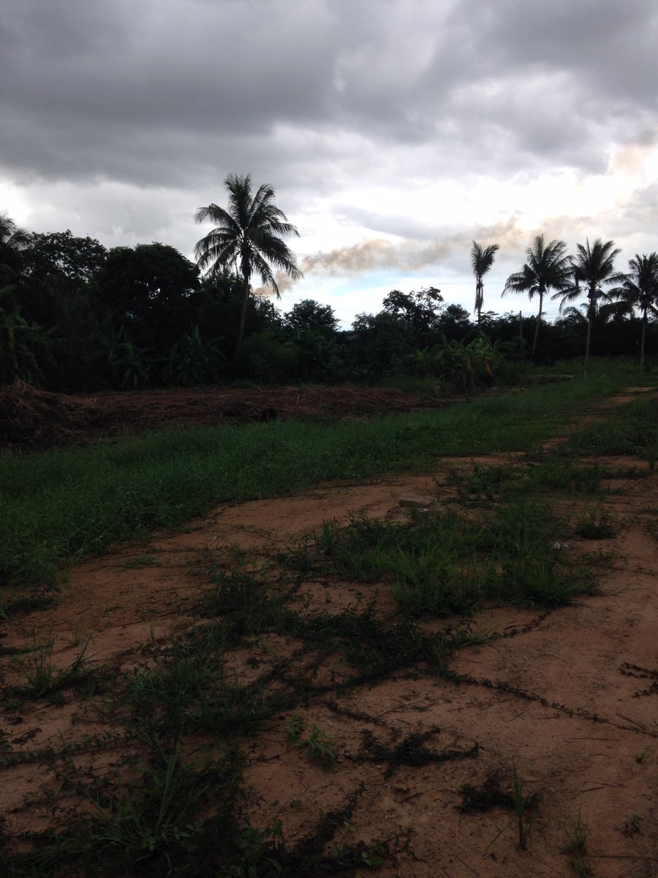 ขายที่ดินโฉนดติดถนนลาดยาง-300ตรว-สามร้อยยอด-จังหวัดประจวบ-1200000-บาท