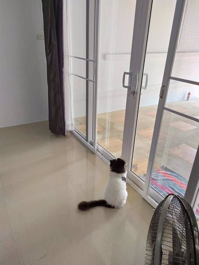 ให้เช่าทาวน์เฮ้าส์-2-ชั้น-หมู่บ้านอยู่เจริญ-ย่านรัชดา-2-นอน-เนื้อที่-18-ตรว-ใกล้-mrt-สุทธิสาร