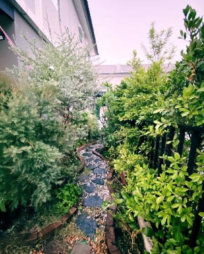 ให้เช่าบ้านทาวน์โฮม-2-ชั้น-โครงการพฤกษาวิลล์-89-รามอินทรา-วงแหวน-3-นอน-2-น้ำ-เฟอร์ครบ