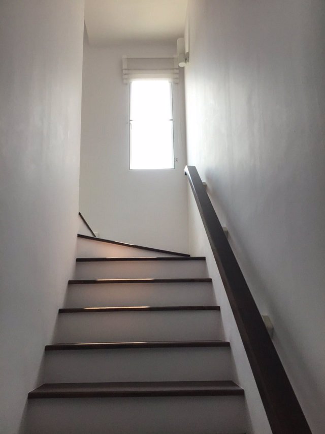 ให้เช่าบ้านเดี่ยว-ทาวน์อเวนิวส์-60-เนื้อที่-22-ตรว-3-ชั้น-3-นอน-3-น้ำ-พร้อมอยู่