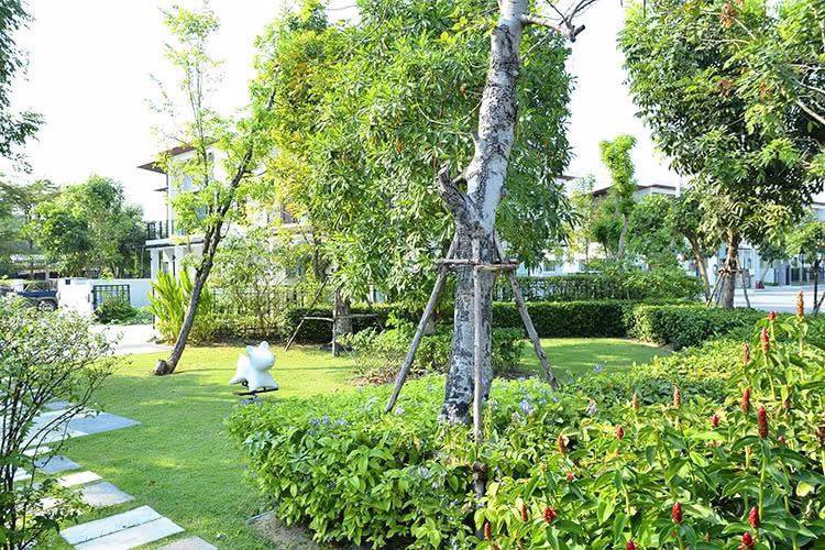 ให้เช่าบ้านเดี่ยว-2-ชั้น-พื้นที่ใช้สอย-157-ตรม-พฤกษาวีทู-อ่อนนุช-พระราม-9-แปลงมุม-เฟอร์ครบ