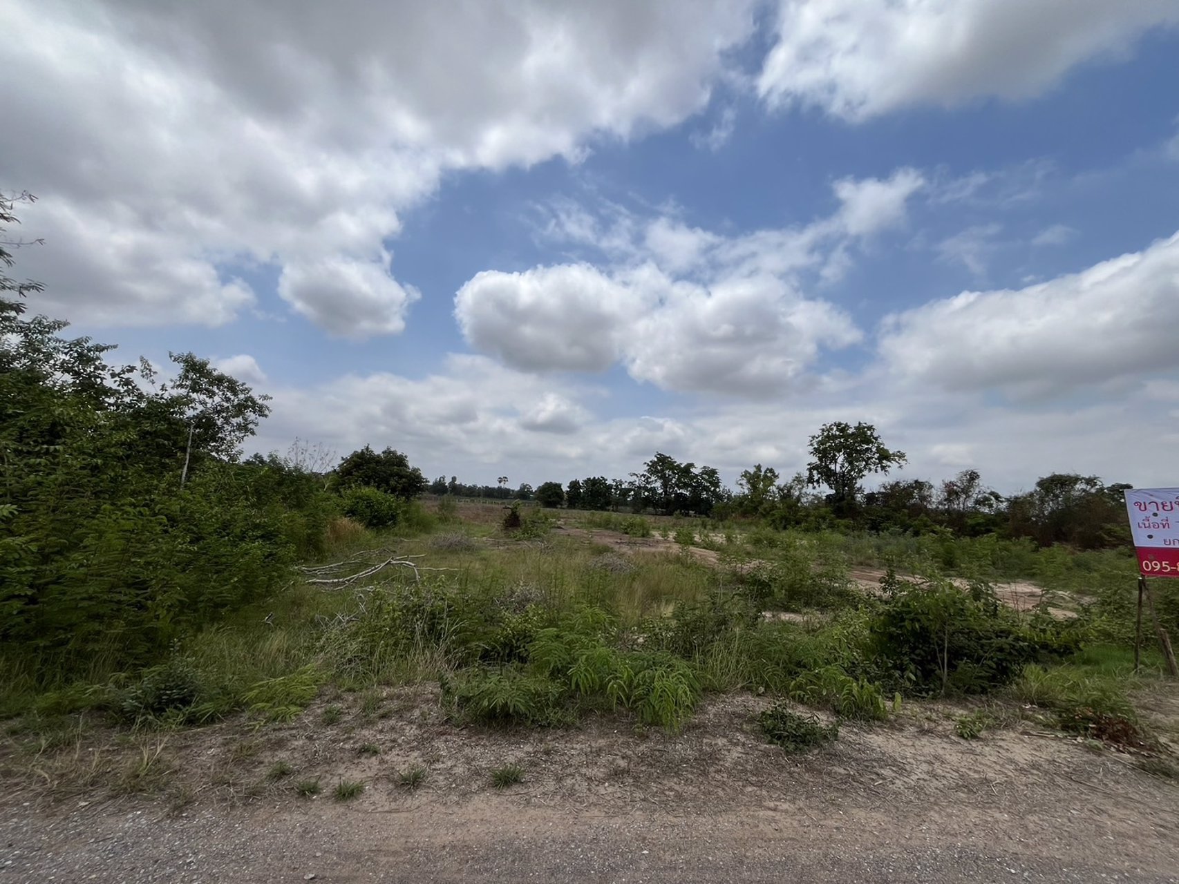 ขายด่วน-ที่ดินสวยๆ-1-แปลง-โฉนดพร้อมโอน-โนนไทย-นครราชสีมา