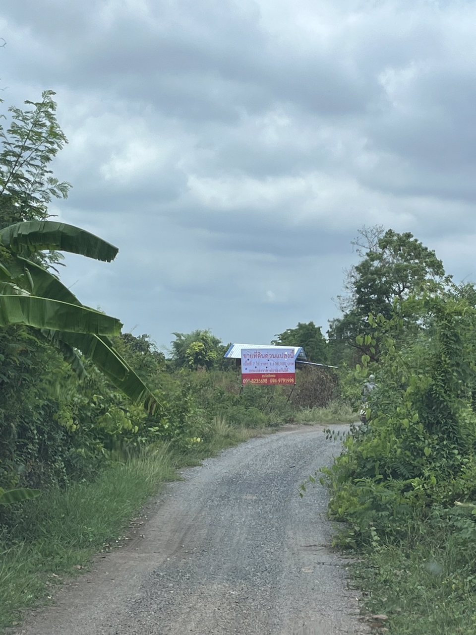 ขายด่วน-ที่ดินสวยๆ-1-แปลง-โฉนดพร้อมโอน-โนนไทย-นครราชสีมา
