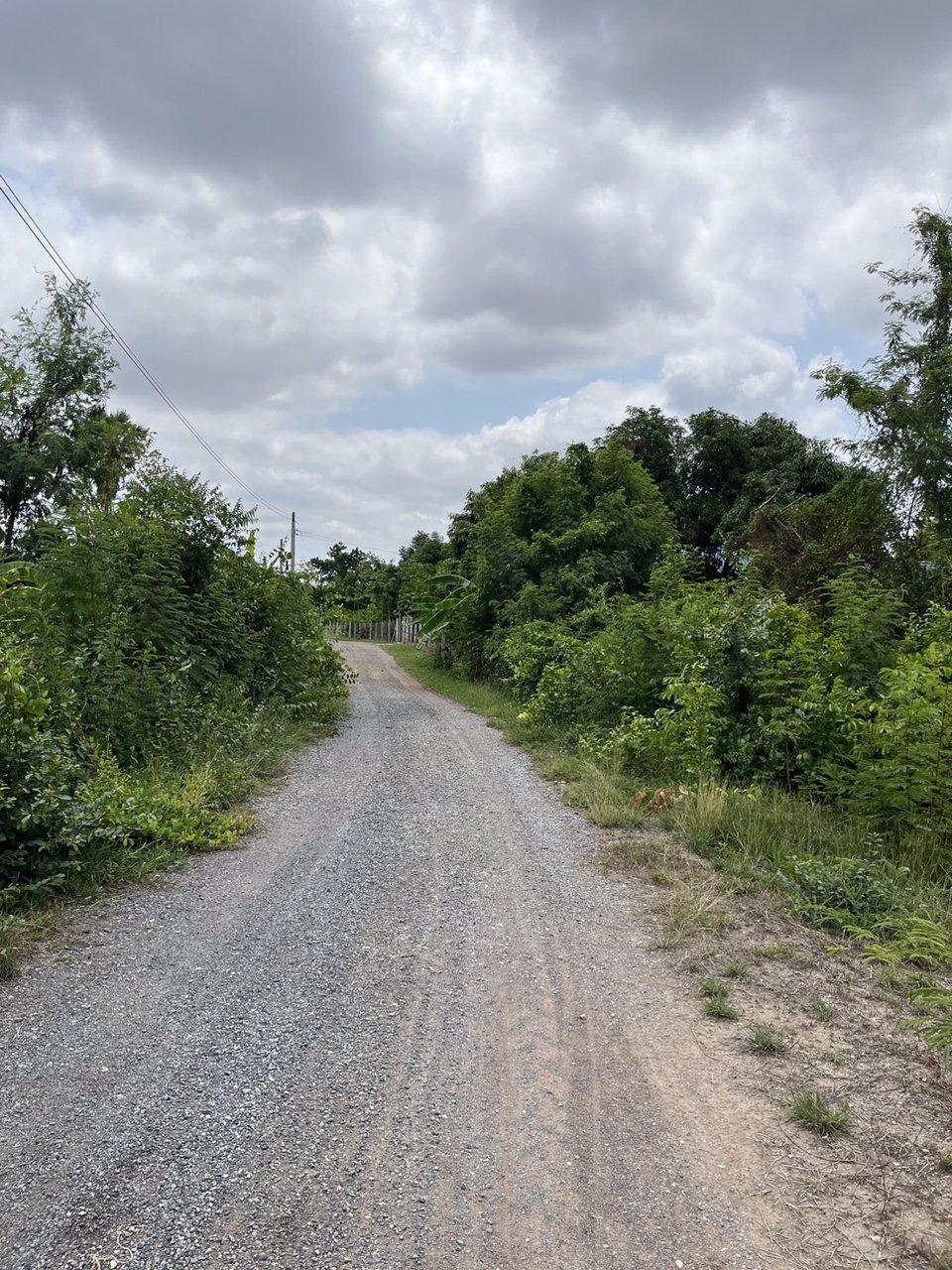 ขายด่วน-ที่ดินสวยๆ-1-แปลง-โฉนดพร้อมโอน-โนนไทย-นครราชสีมา