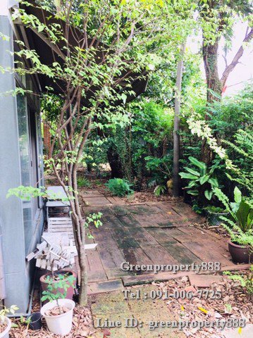 ขายบ้านเดี่ยว-18-ลบ-สุขุมวิท93-เนื้อที่-203-ตรวา-7-นอน-6-น้ำ-มีบ้าน-3-หลัง-ปากซอยมี-bts-บางจาก