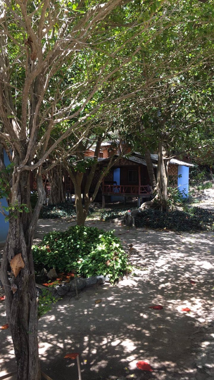 ขายที่ติดทะเล-เกาะพะงัน-สุราษฎร์ธานี