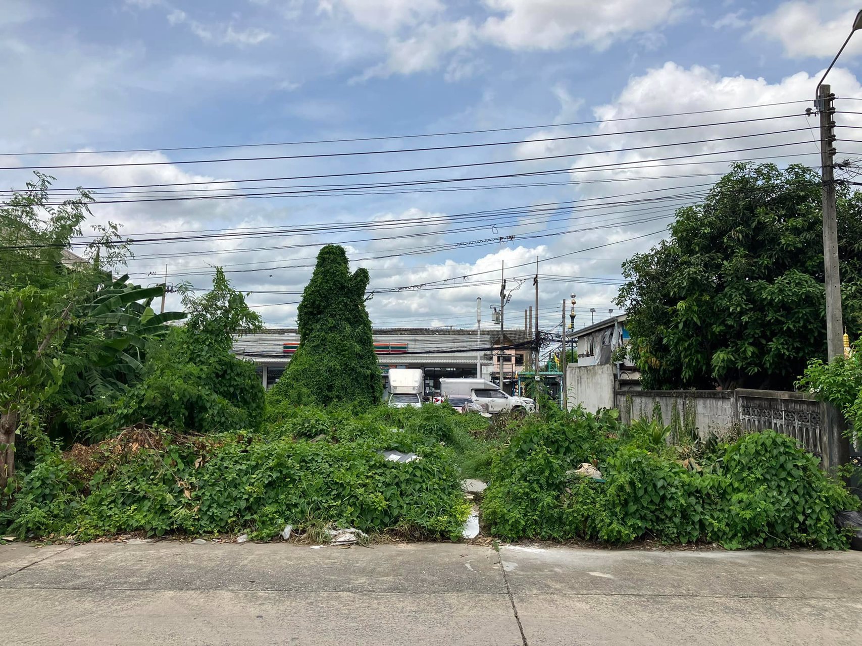 ขายที่ดินเปล่า-117-ตรว-ลำลูกกาคลอง1-ปทุมธานี