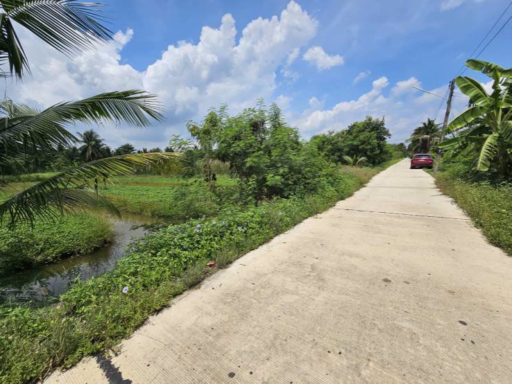 ขายที่ดินเปล่า-แปลงสวย-ซอยโรงช้อน-หนองเสือ-ปทุมธานี