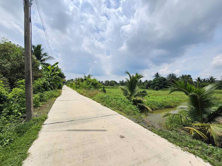 ขายที่ดินเปล่า-แปลงสวย-ซอยโรงช้อน-หนองเสือ-ปทุมธานี