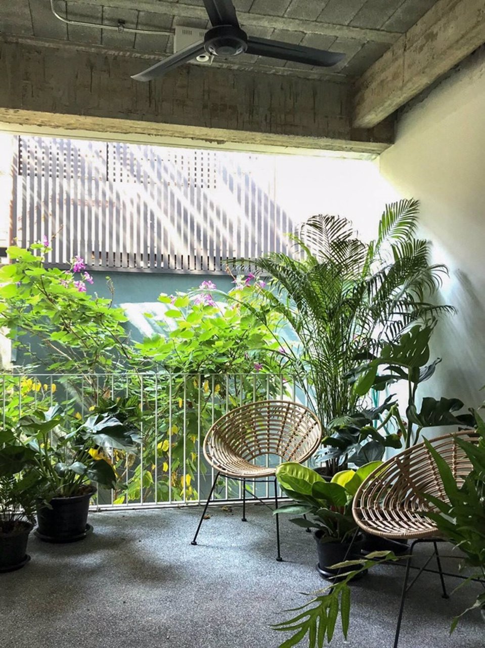 ขายทาวน์เฮ้าส์-244-ตรวา-3-ชั้น-พึ่งตกแต่งใหม่ทั้งหลัง-ในสุขุมวิท-49-ห่างจาก-โรงพยาบาลสมิติเวชเพียง