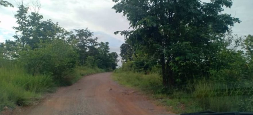 ขายที่ดิน-1ไร่-1งาน-25ตรว-ราคายกแปลง-159000บาท