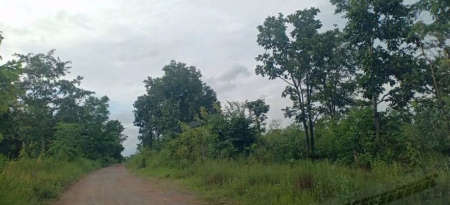 ขายที่ดิน-1ไร่-1งาน-25ตรว-ราคายกแปลง-159000บาท