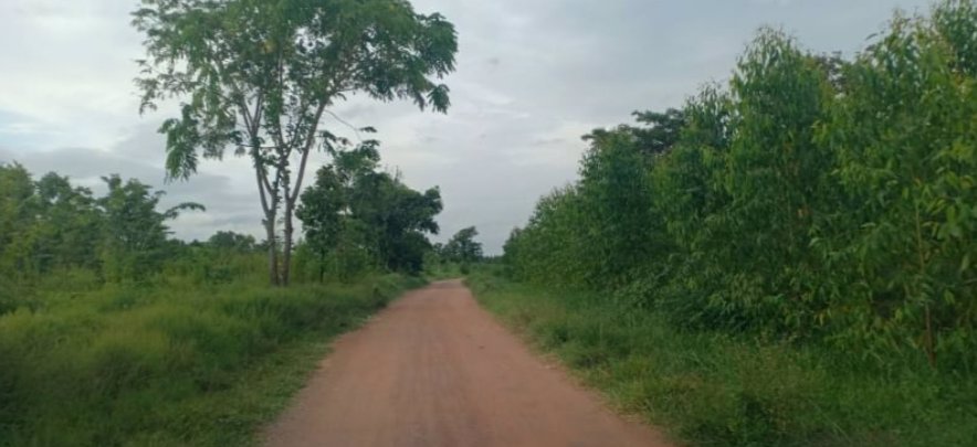 ขายที่ดิน-1ไร่-1งาน-25ตรว-ราคายกแปลง-159000บาท