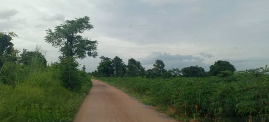 ขายที่ดิน-1ไร่-1งาน-25ตรว-ราคายกแปลง-159000บาท