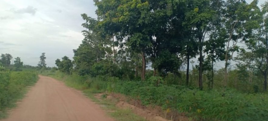 ขายที่ดิน-1ไร่-1งาน-25ตรว-ราคายกแปลง-159000บาท