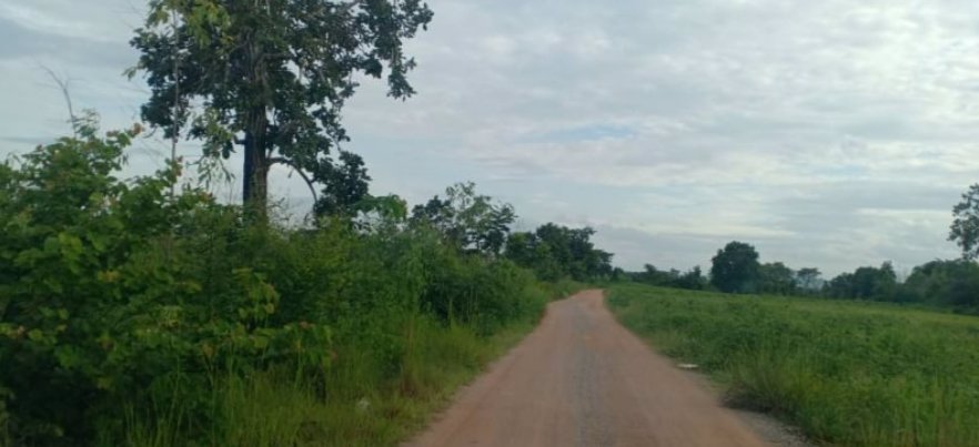 ขายที่ดิน-1ไร่-1งาน-25ตรว-ราคายกแปลง-159000บาท