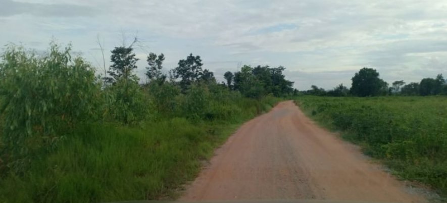 ขายที่ดิน-1ไร่-1งาน-25ตรว-ราคายกแปลง-159000บาท