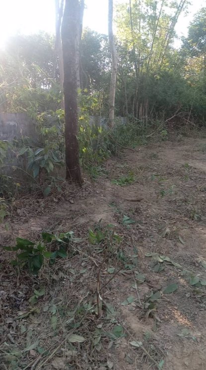 ขายที่ดิน-251ตรว-ราคา-690000บาท-ผ่อนได้-