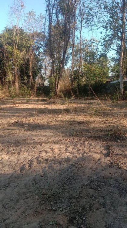 ขายที่ดิน-251ตรว-ราคา-690000บาท-ผ่อนได้-