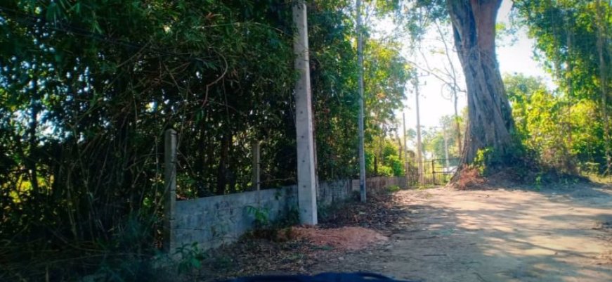 ขายที่ดิน-251ตรว-ราคา-690000บาท-ผ่อนได้-