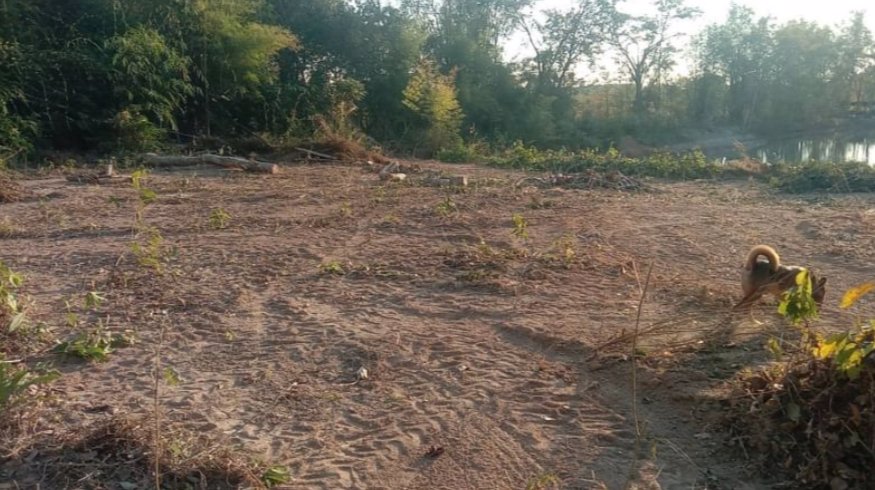 ขายที่ดิน-251ตรว-ราคา-690000บาท-ผ่อนได้-