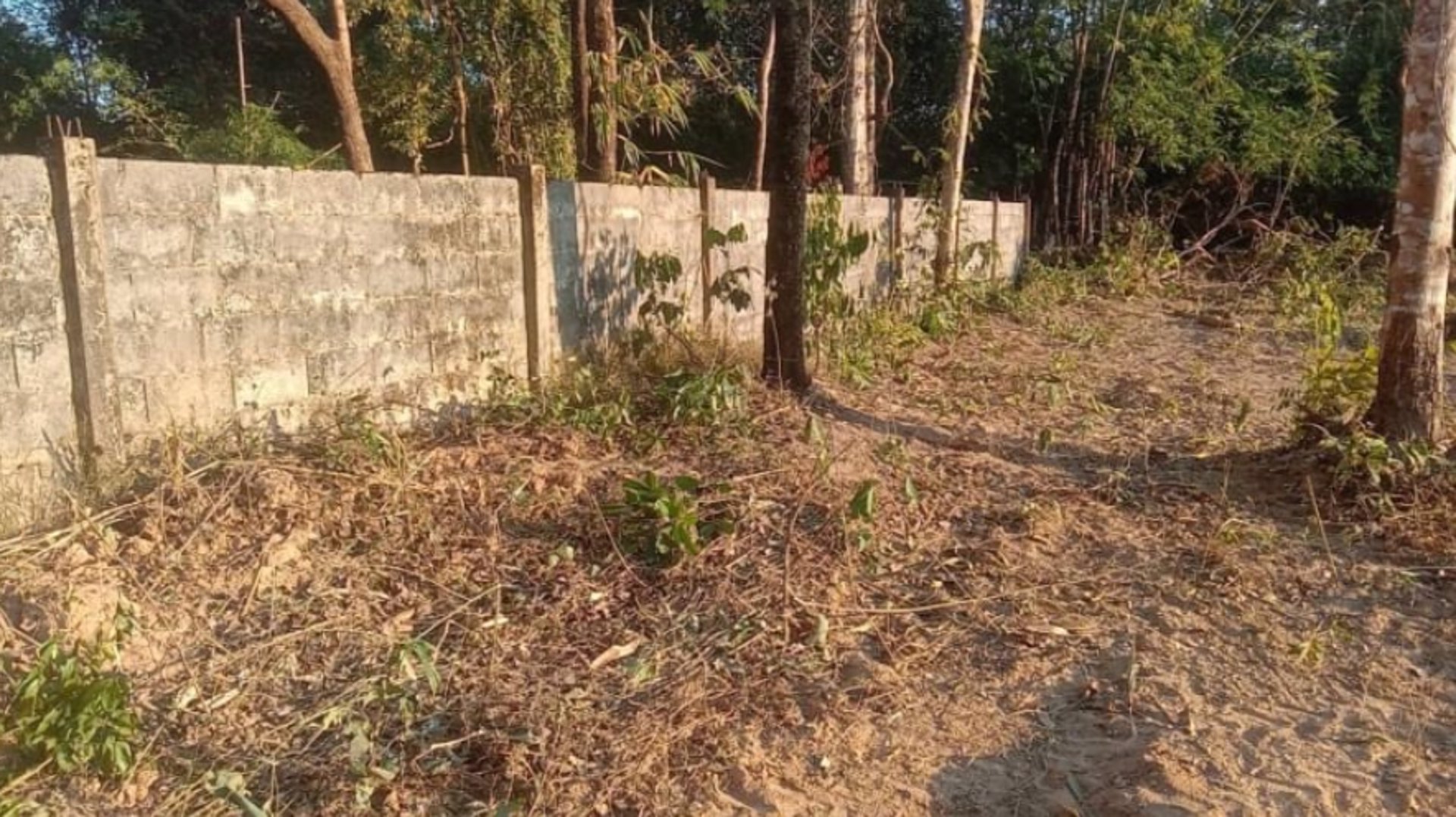 ขายที่ดิน-251ตรว-ราคา-690000บาท-ผ่อนได้-