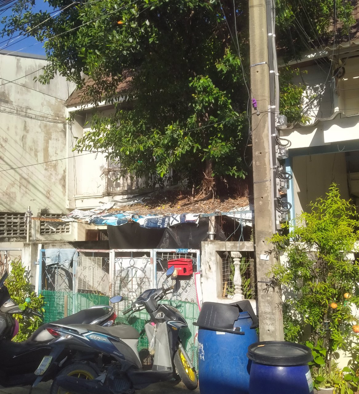 ทาวน์เฮ้าส์ให้เช่า-ทาวน์เฮ้าส์-2-ชั้น-26-ตรว-แยกศรีเทพา-ถนนเทพารักษ์