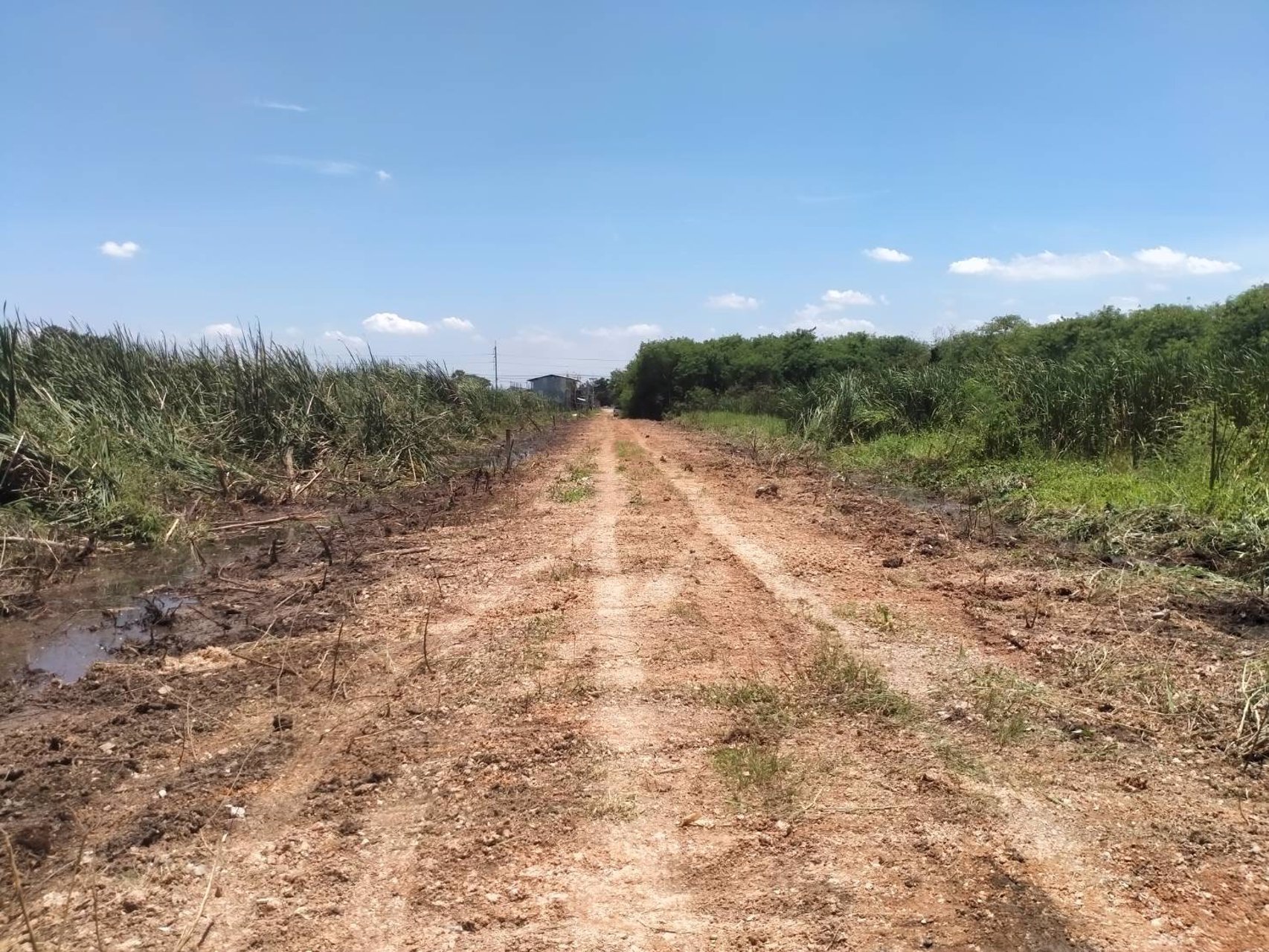 ขายด่วน-ที่ดินทำเลดี-ใกล้ถนนรังสิต-นครนายก