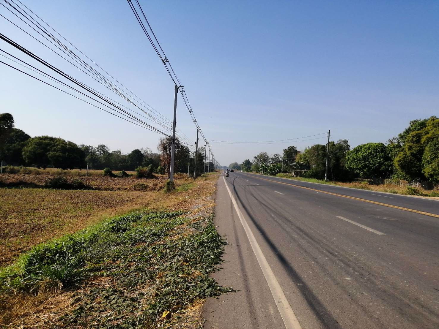 ขาย-ที่ดินทำเลดี-ติดถนน-4-เลน-เหมาะสำหรับทำธุรกิจ-ราคาถูก-อำเภอพิชัย-จังหวัดอุตรดิตถ์