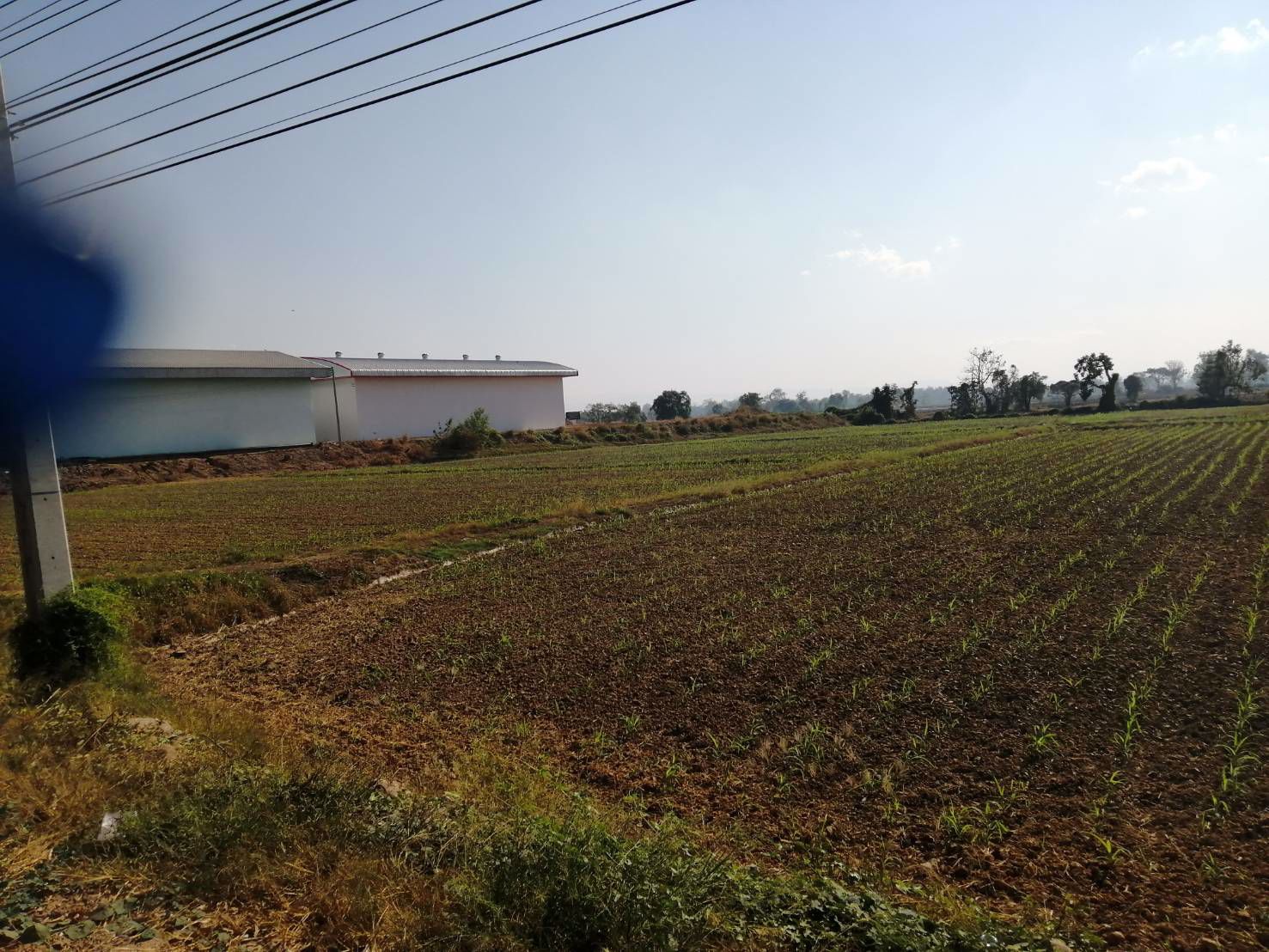 ขาย-ที่ดินทำเลดี-ติดถนน-4-เลน-เหมาะสำหรับทำธุรกิจ-ราคาถูก-อำเภอพิชัย-จังหวัดอุตรดิตถ์